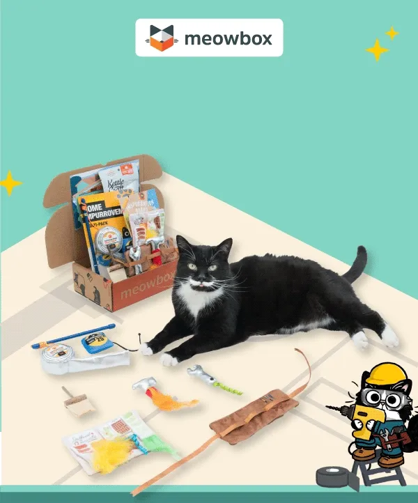 Home is where the cat hair is! Image of a black and white cat next to the Ameowzing Home Makeovers meowbox (featuring toys like the Inspurration Board scratcher, Home Impurrovement 2 pack, Handy Helpurr Wearable Tool Set toys and more).
