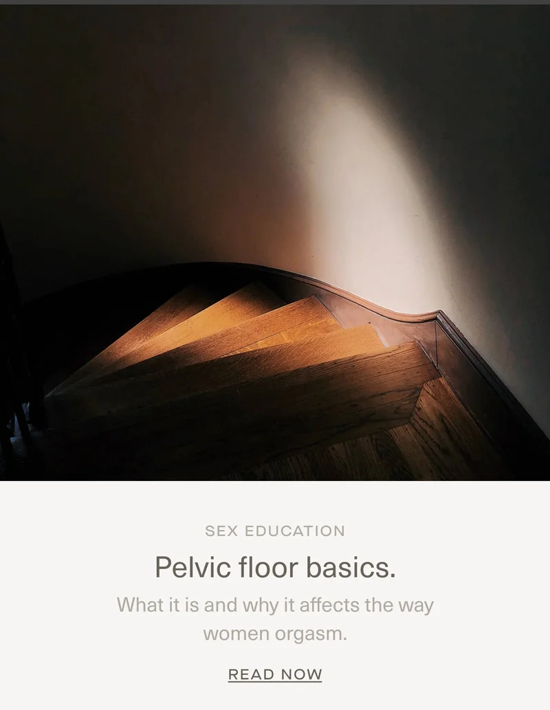 Sex Education | Pelvic floor basics. | What it is and why it affects the way women orgasm. | Read Now
