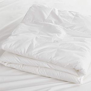 Hypoallergenic Heavyweight Twin Duvet Insert