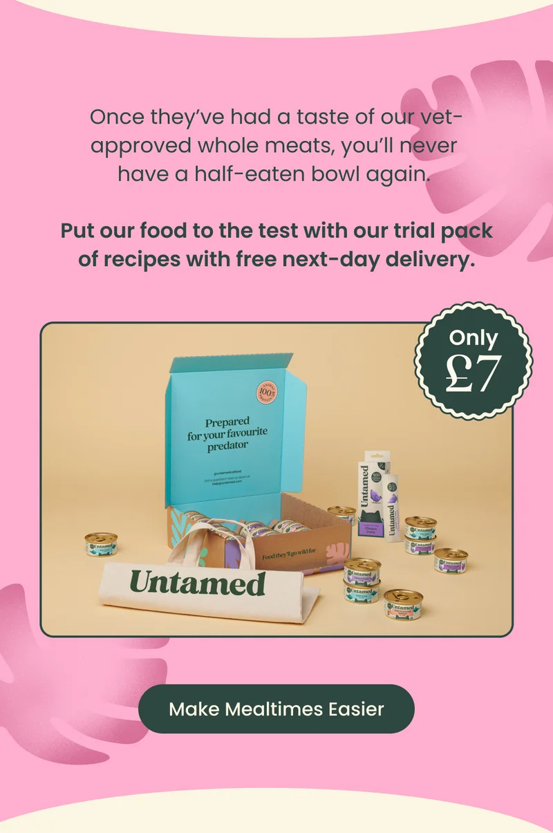 Make Mealtimes Easier