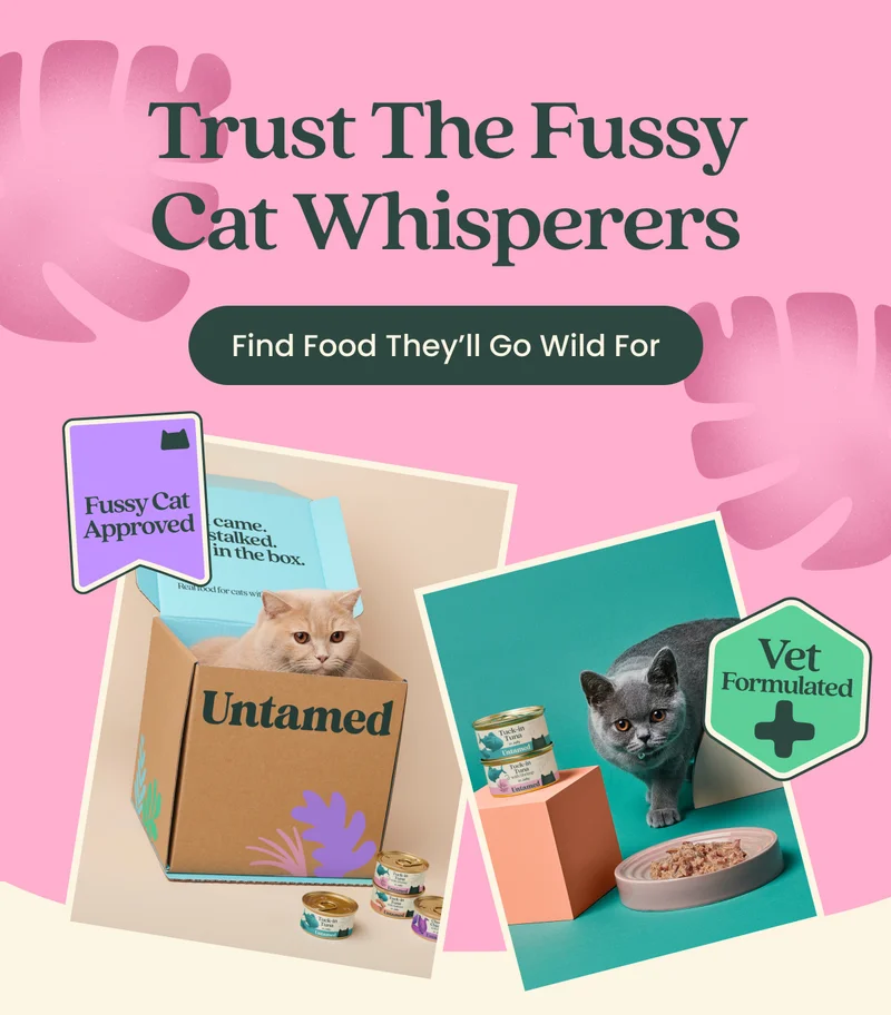 Find Food They'll Go Wild For