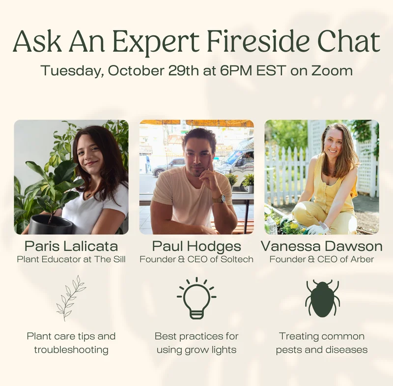 Join Us for an Ask An Expert Fireside Chat on Tuesday, October 29th at 6PM ET on Zoom! Grab a free ticket!