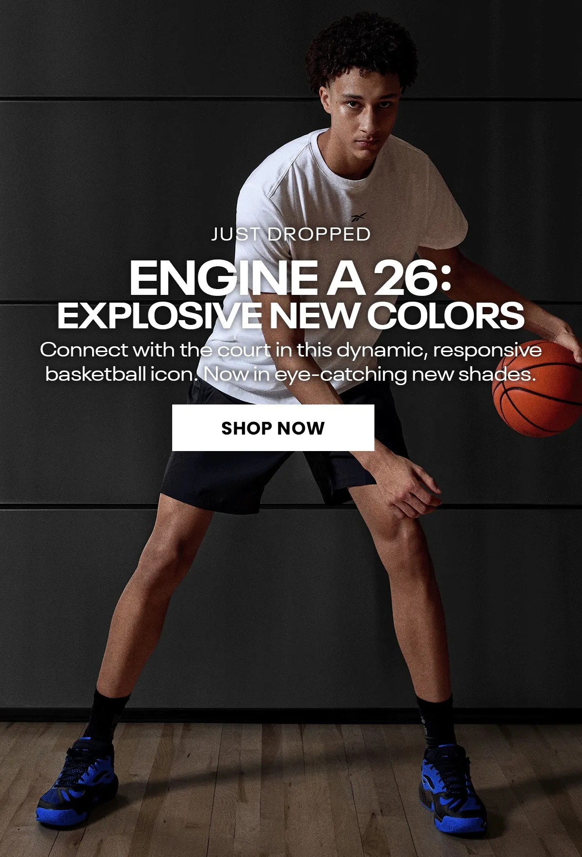basketball-enginea