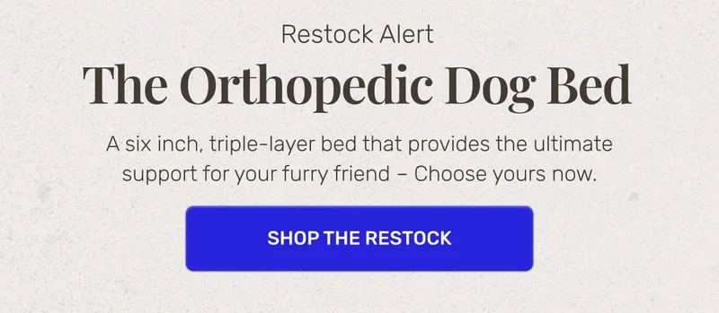 Restock Alert • The Orthopedic Dog Bed • A six inch, triple-layer bed that provides the ultimate support for your furry friend