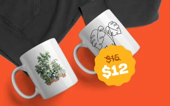 $12