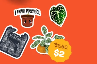 $2