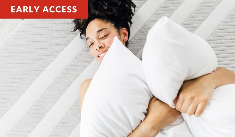 + 2 free pillows ($120 value)
