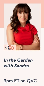 in the garden