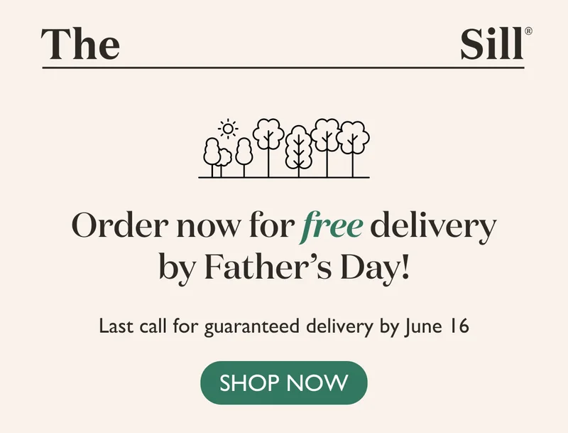 Order now for free delivery by Father's Day!