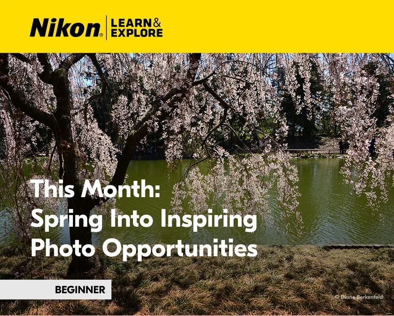 Nikon Learn and Explore | This Month: Spring Into Inspiring Photo Opportunities