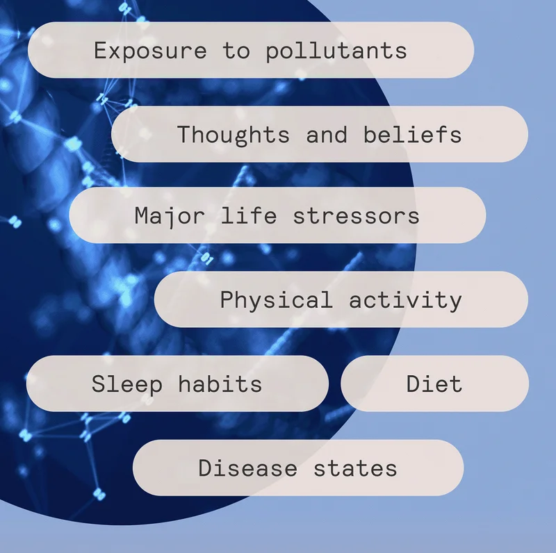 Diet. Exposure to pollutants and chemicals. Thoughts and beliefs. Major life stressors. Physical activity. Sleep habits. Disease states
