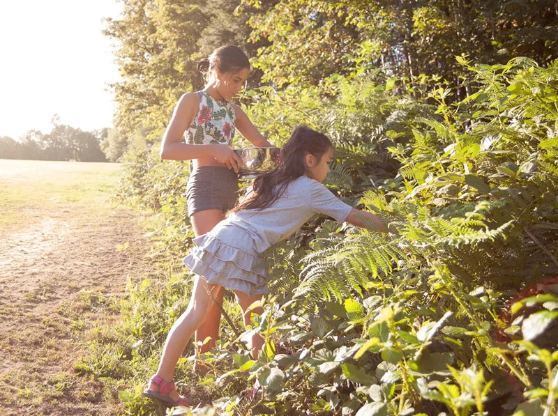 Girls picking berries