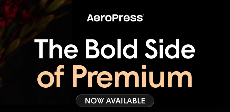 The Bold Side of Premium