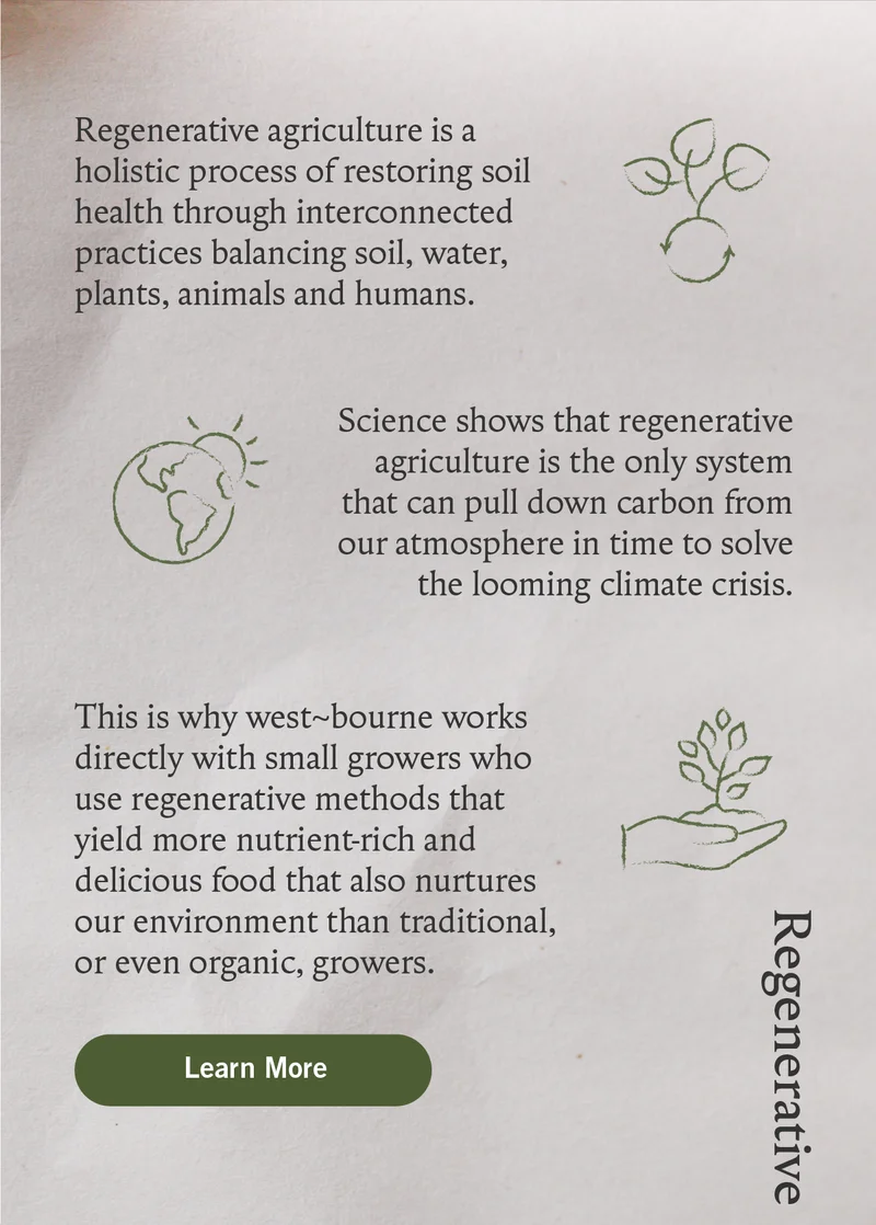 Organic vs Regenerative