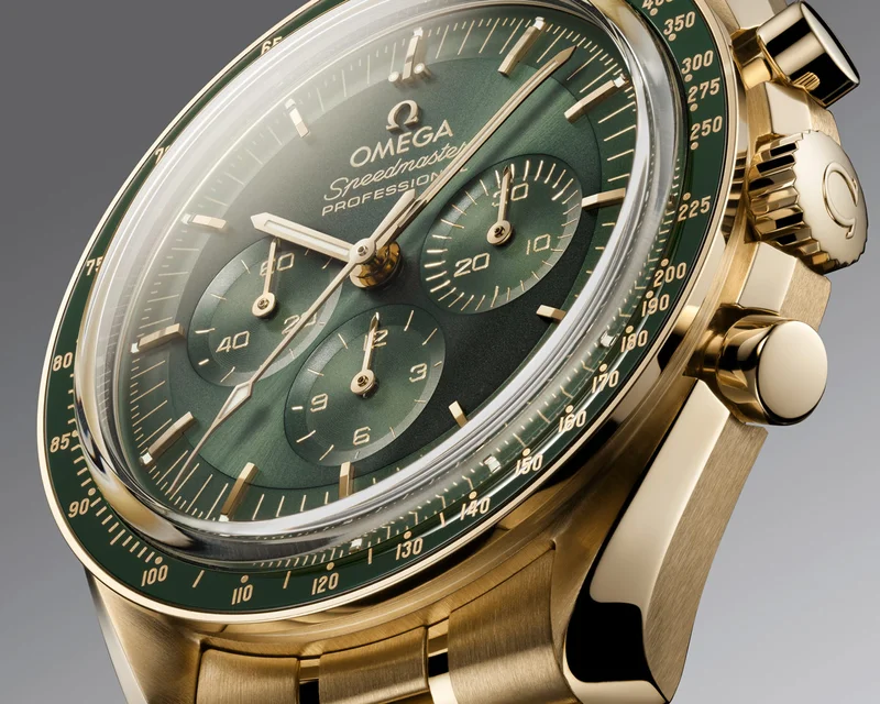 31060425010001 watch