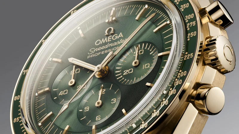 31060425010001 watch