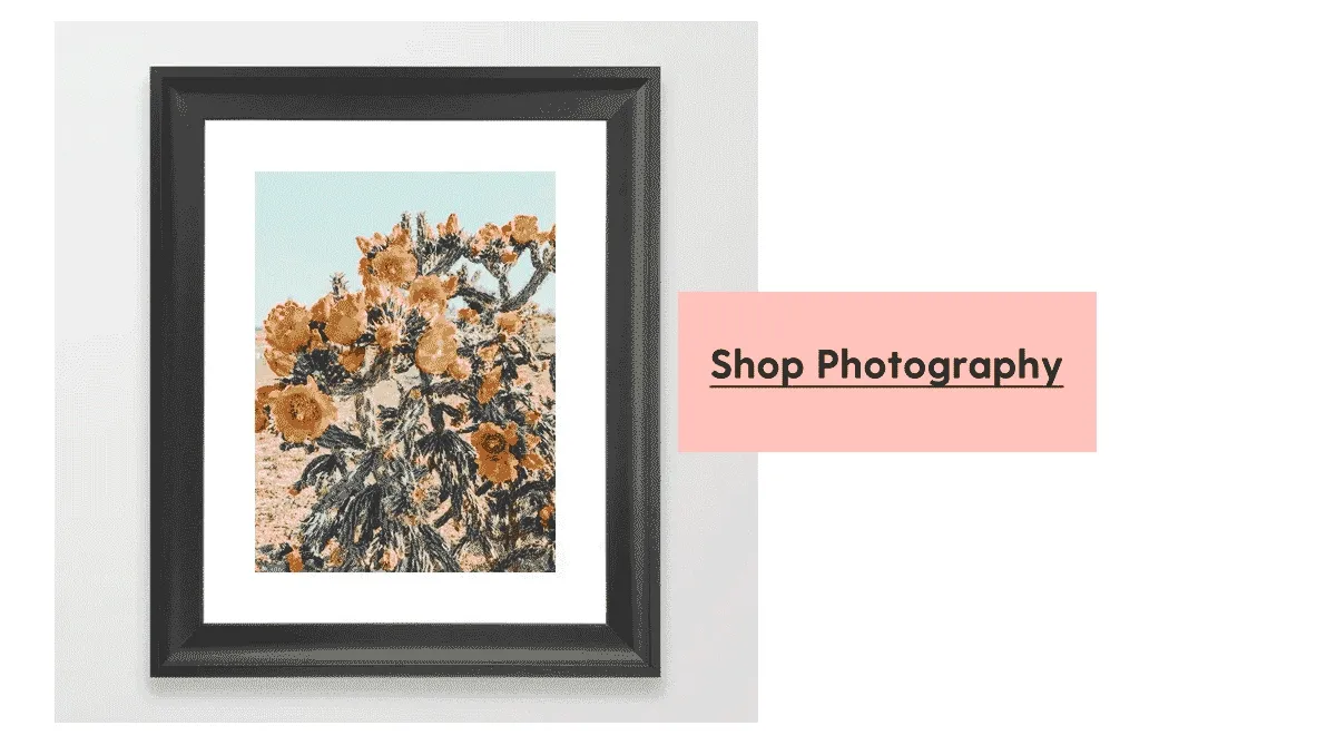 Shop Photography