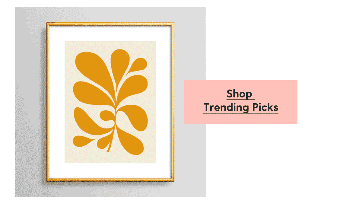 Shop Trending Picks