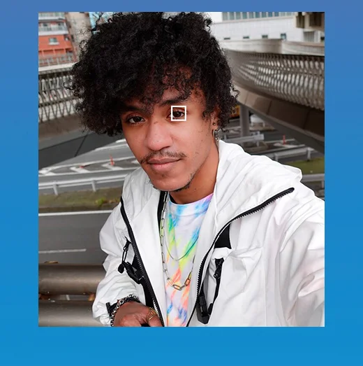 Turn on images to see it
