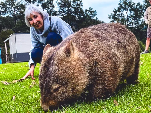 Image Description: A person looking at a wombat.