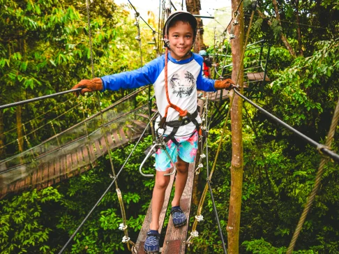 Image Description: A child walking on a bridge in the jungle.