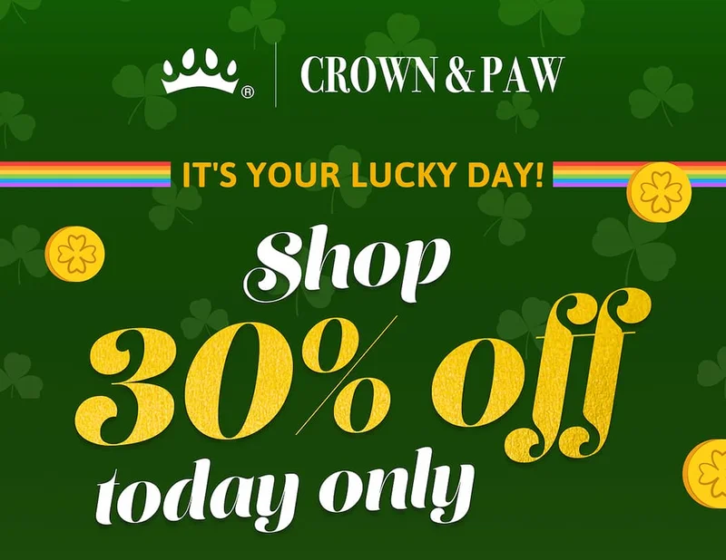 Its your lucky day | Shop 30% of today only