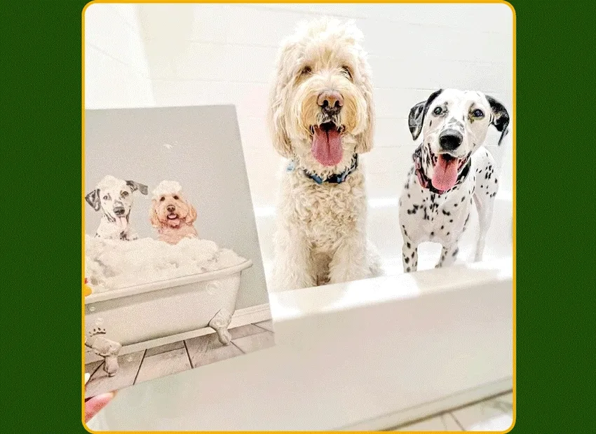 gif of customer photos of pets and their various matching artworks