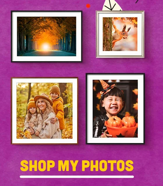 Shop My Photos