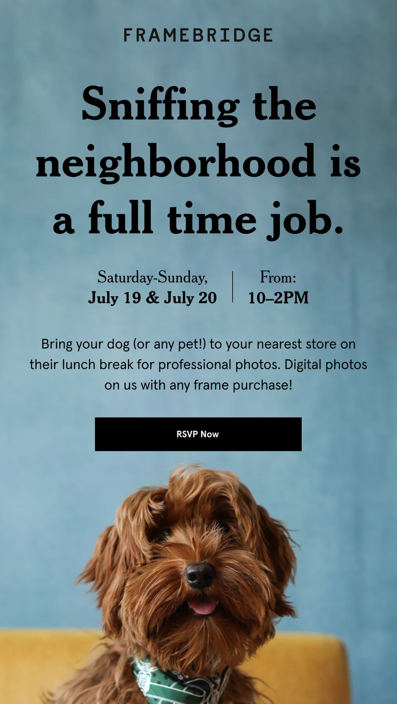 Bring your dog to your nearest store on their lunch break for professional photos. Digital photos on us with any frame purchase!  RSVP Now