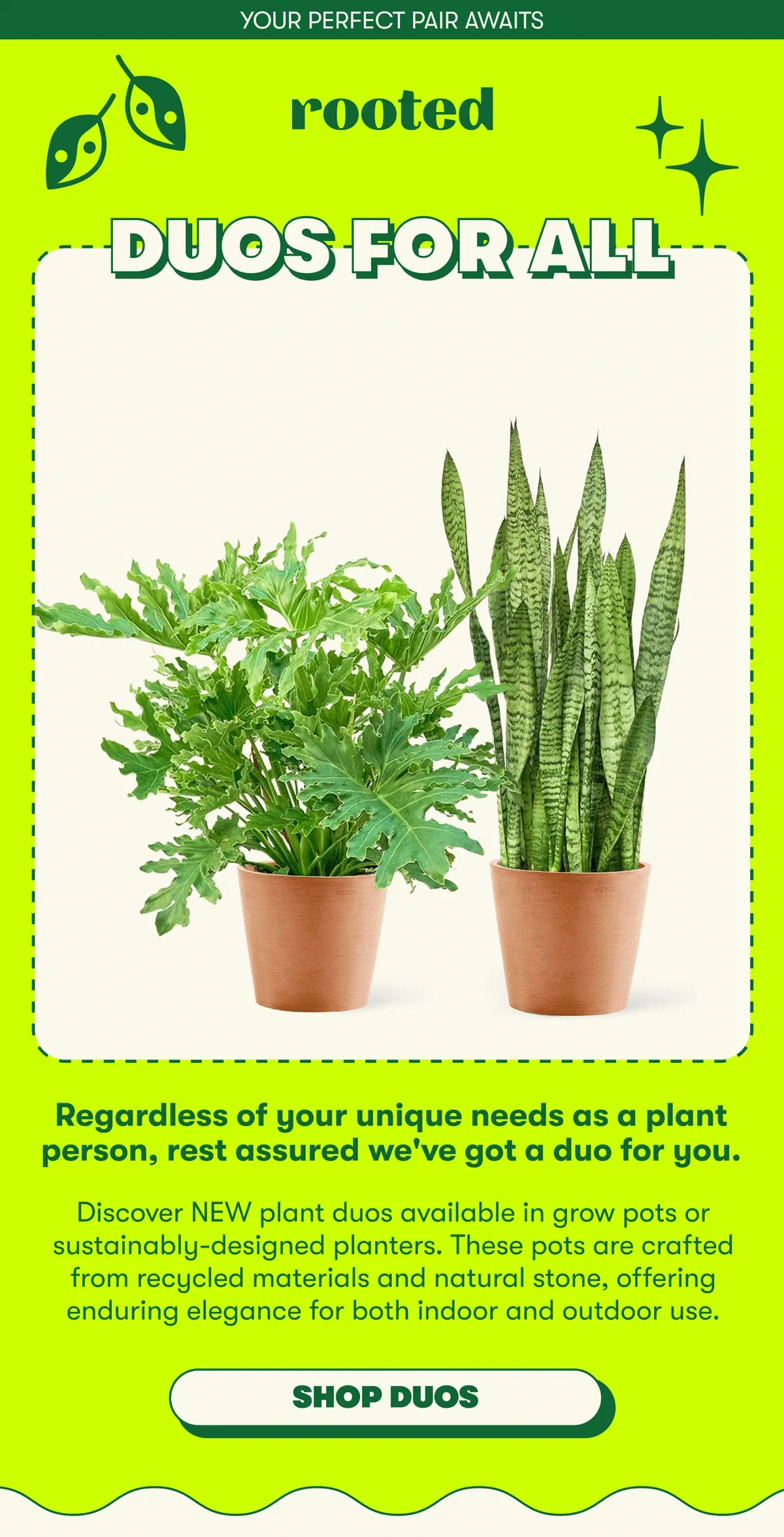 PLANT IT SAFE!  In celebration of the Fetch & Foliage gift set – launched in support of Social Tees Animal Rescue – our co-founder's pup, Chicken, is sharing her top tips for plant and pet safety. Keep your indoor garden thriving knowing your pup is safe to play!  Shop Pet-friendly.