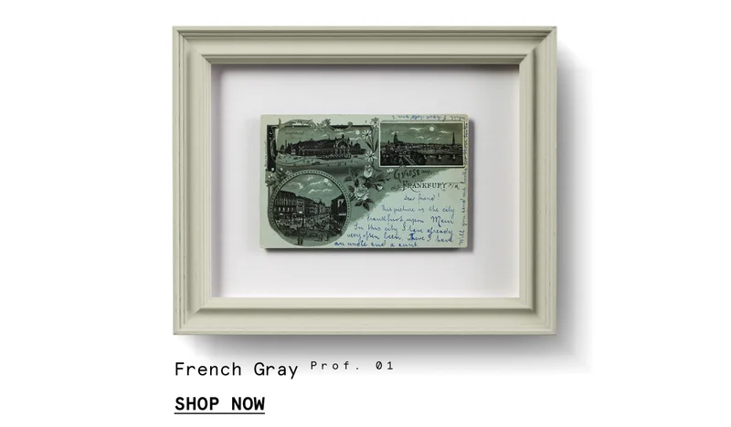 French Gray Prof. 01
