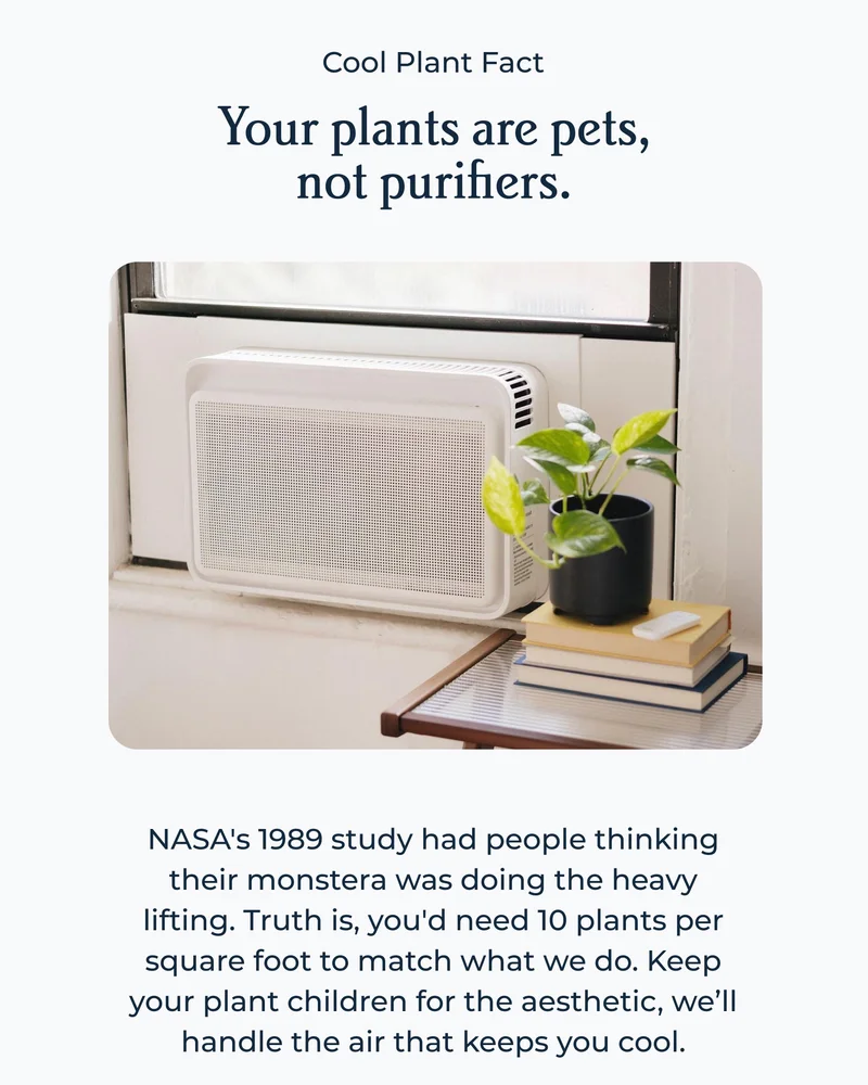 Cool Plant Fact Your plants are pets, not purifiers. NASA's 1989 study had people thinking their monstera was doing the heavy lifting. Truth is, you'd need 10 plants per square foot to match what we do. Keep your plant children for the aesthetic, we’ll handle the air that keeps you cool.