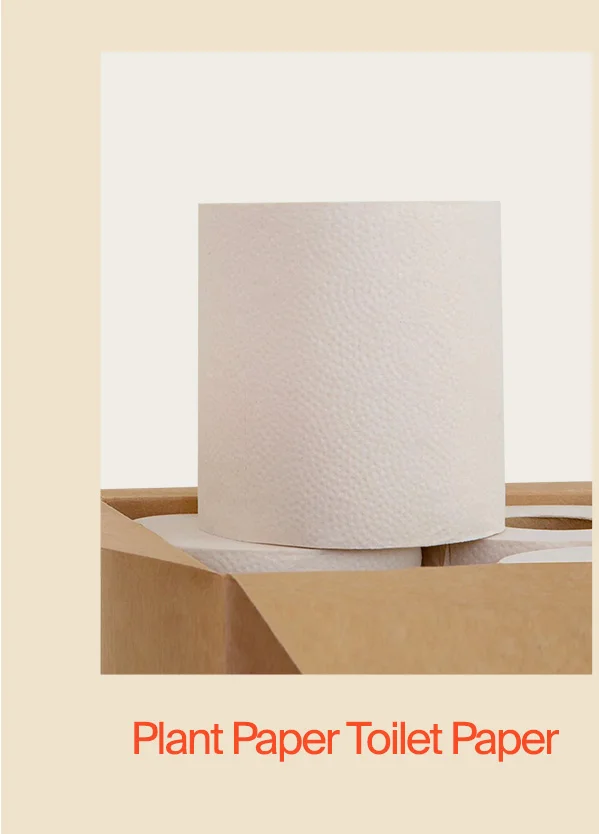 Toilet Paper
