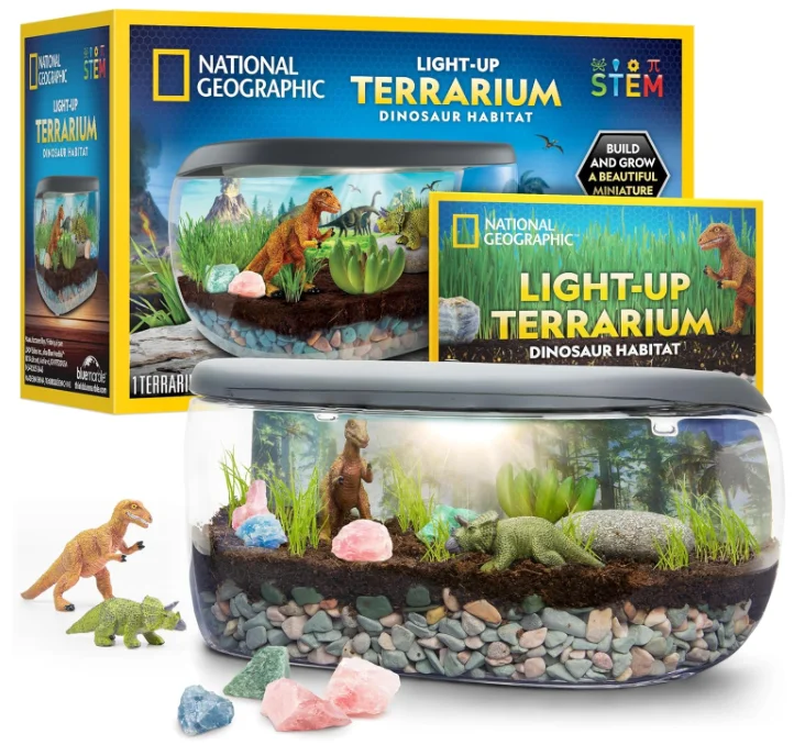 Light Up Terrarium Kit for Kids