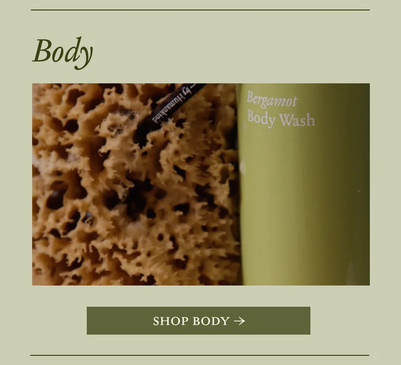 Body