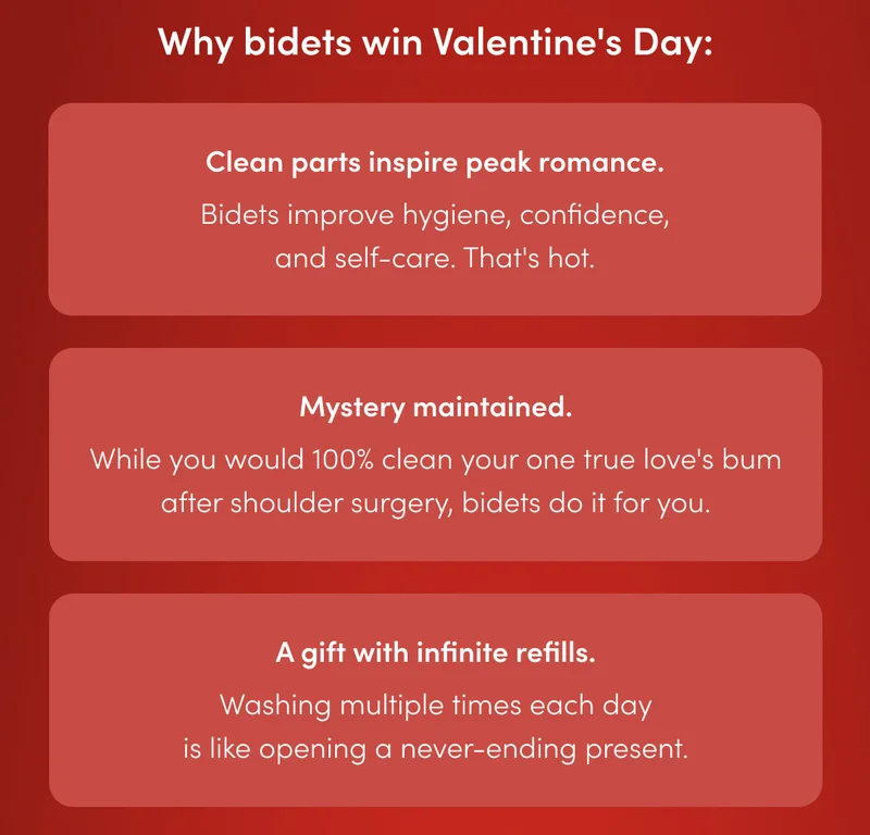 WHY BIDETS WIN VALENTINES DAY