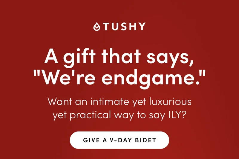 GIVE A V-DAY BIDET