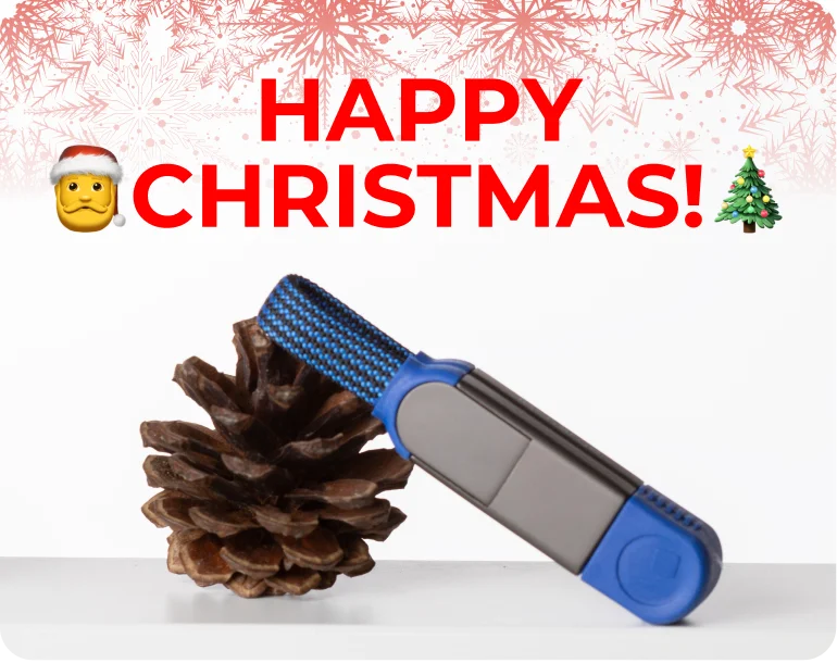 Happy Christmas!