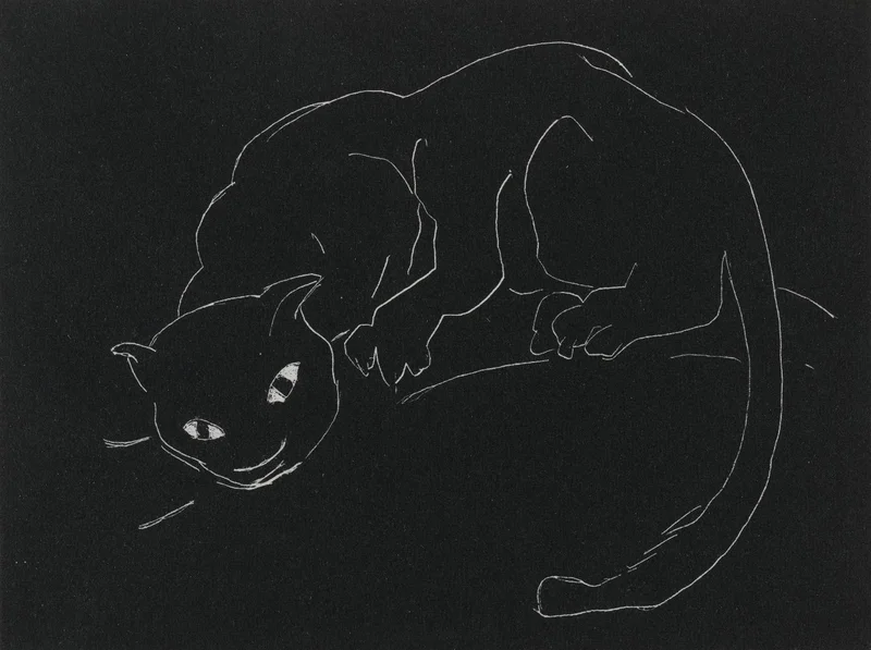 An illustration of a black cat outlined in white against a black background