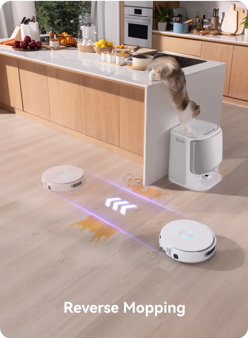 Reverse Mopping