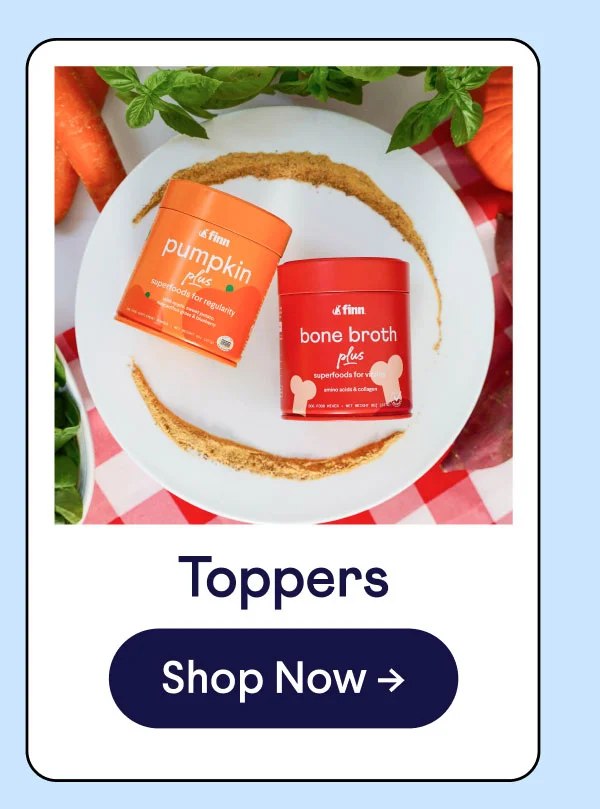 Toppers. Shop now.