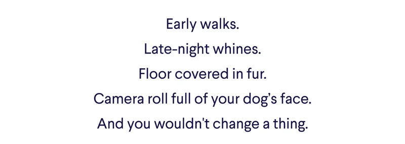 Early walks. Late-night whines. Floor covered in fur. Camera roll full of your dog's face. And you wouldn't change a thing.