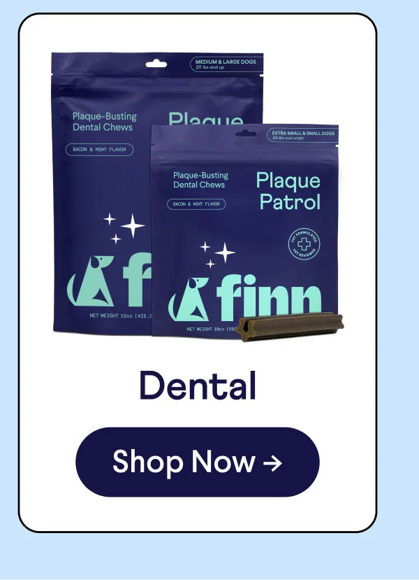 Dental. Shop now.