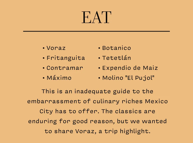 EAT: • Voraz • Fritanguita • Contramar • Máximo  • Botanico • Tetetlán  • Expendio de Maiz • Molino "El Pujol"  This is an inadequate guide to the embarrassment of culinary riches Mexico City has to offer. The classics are  enduring for good reason, but we wanted to share Voraz, a trip highlight.