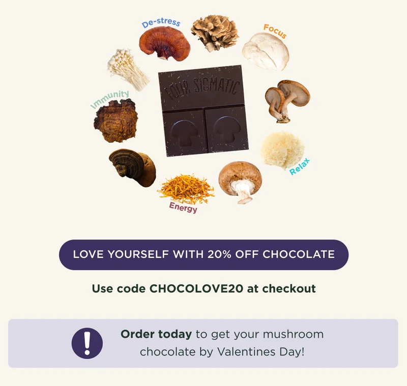 LOVE YOURSELF WITH 20% OFF CHOCOLATE - Use code CHOCOLOVE20 at checkout - Order today to get your mushroom chocolate by Valentine's Day!