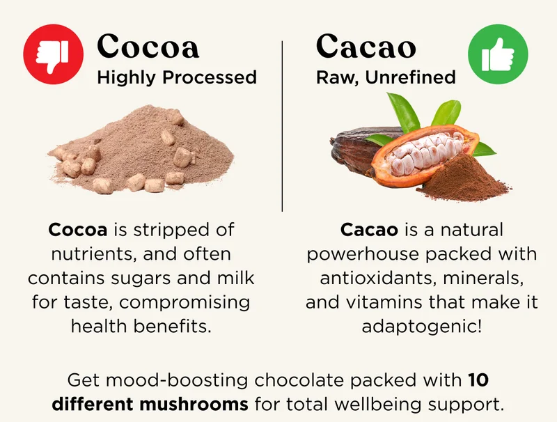 Cocoa = Highly Processed. Cocoa is stripped of nutrients, and often contains sugars and milk for taste, compromising health benefits. Cacao = Raw, Unrefined. Cacao is a natural powerhouse packed with antioxidants, minerals, and vitamins that make it adaptogenic! Get mood-boosting chocolate packed with 10 different mushrooms for total wellbeing support.