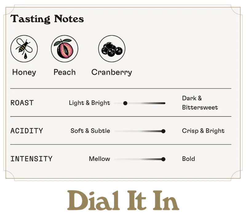 Dial It In: Find Your perfect coffee