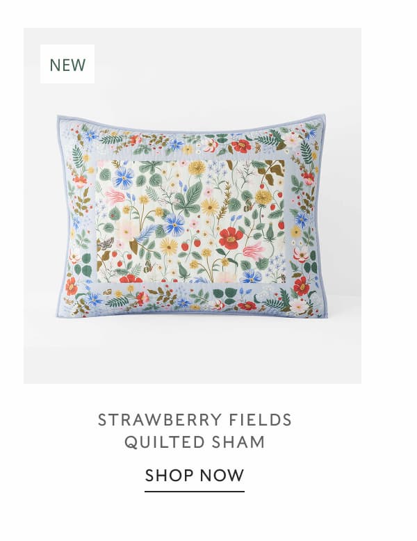 Shop Strawberry Fields Sham