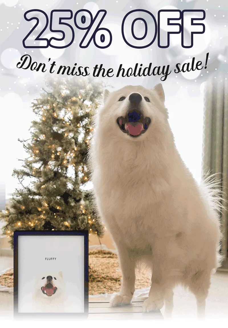 Don't miss 25% off in our holiday sale!