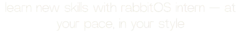 learn new skills with rabbitOS intern — at your pace, in your style